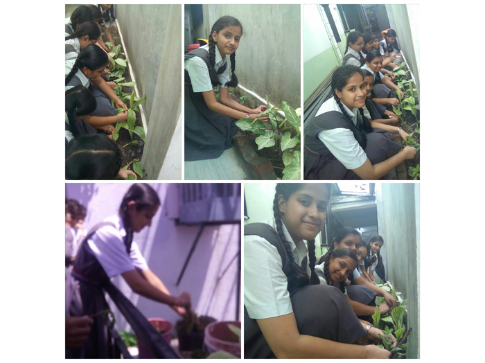 Activities by CMS Rajendra Nagar II Campus in August 2016