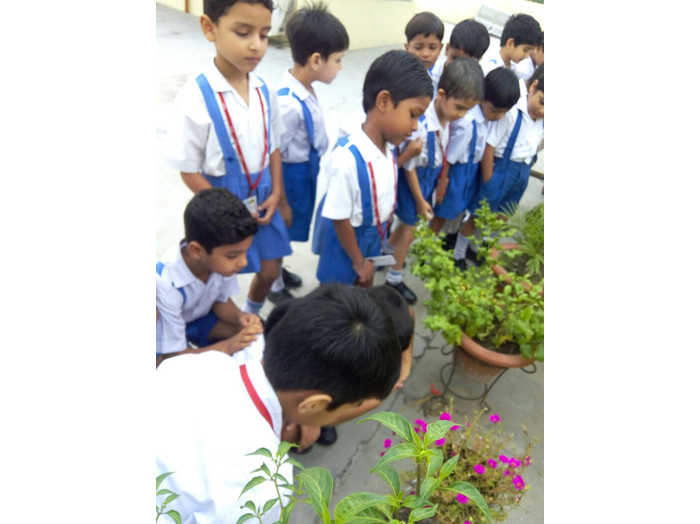 Activities by CMS Asharfabad Campus in July 2016