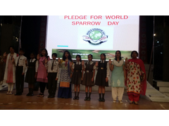 Sparrow Day 20 March -  - Activities by CMS Gomti Nagar Campus II in March 2017
