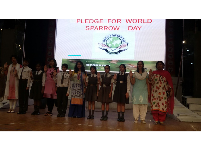 Sparrow Day 20 March -  - Activities by CMS Gomti Nagar Campus II in March 2017