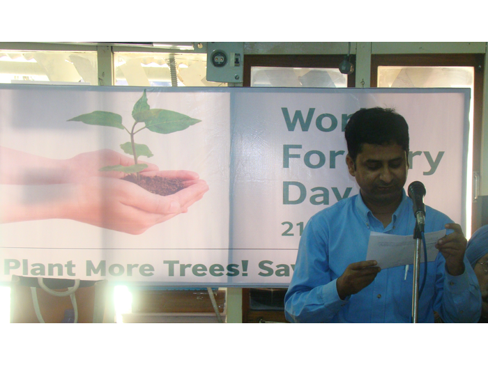 Forest Day Celebrated at CMS Head Office
