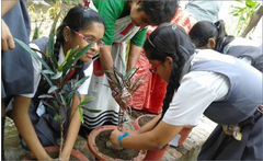 Students celebrating Van Mahotsav (Tree Plantation) at the Home for the Destitute, Infirm and Aged, Prem Nivas, Lucknow