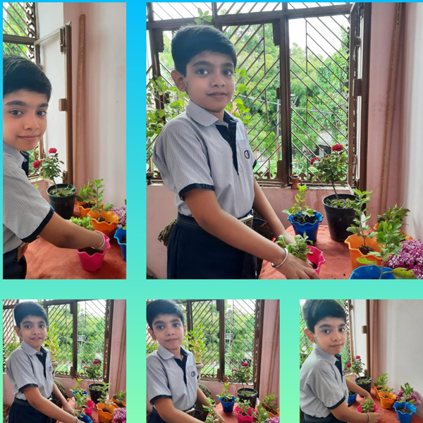 National Allotment Week at Primary Section 3_5