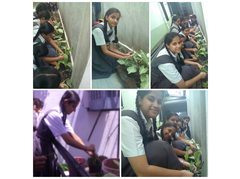Activities by CMS Rajendra Nagar II Campus in August 2016