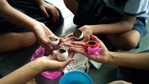 Activity 'Plant a Friend' using egg shells
