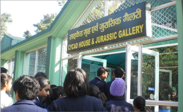 Visit to Jurassic Gallery, NBRI Lucknow